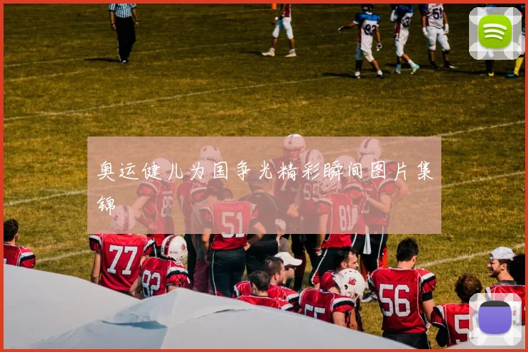 奥运健儿为国争光精彩瞬间图片集锦